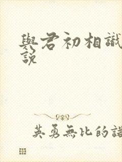 与君初相识 小说