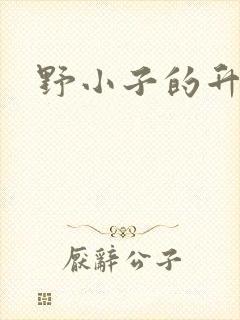 野小子的升官路