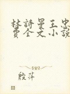 林诗曼王忠文免费全文小说的名称