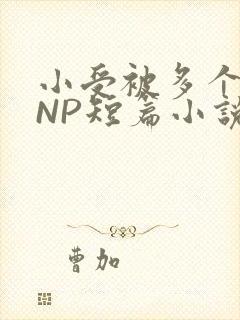 小受被多个攻强NP短篇小说