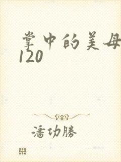 掌中的美母版主120