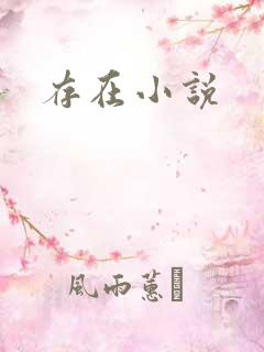 存在小说