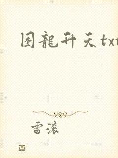 困龙升天txt