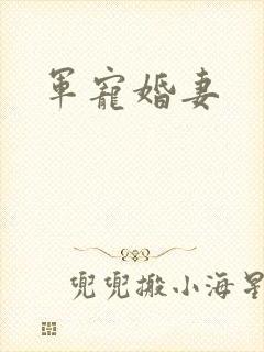 军宠婚妻