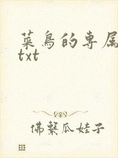 菜鸟的专属大神txt