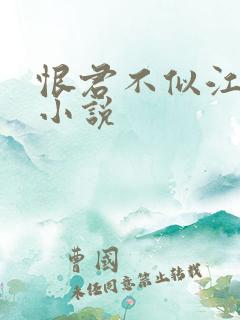 恨君不似江楼月小说