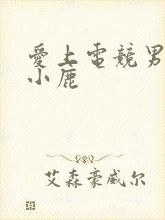 爱上电竞男神林小鹿