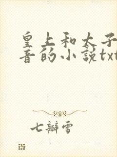 皇上和太子妃沈音的小说txt