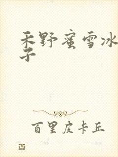 禾野蜜雪冰城本子