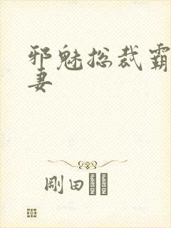 邪魅总裁霸占新妻