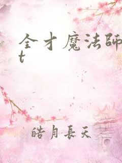 全才魔法师txt