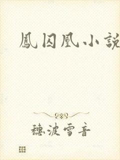 凤囚凰小说