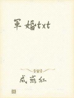 军婚txt