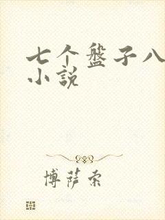七个盘子八个碗小说