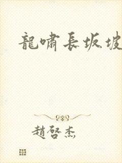 龙啸长坂坡