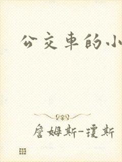 公交车的小说