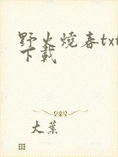野火烧春txt下载