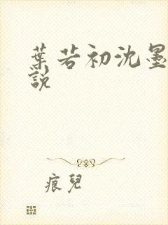 叶若初沈墨寒小说