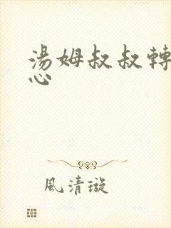 汤姆叔叔转入中心