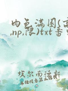 肉色满园(高h,np,限)txt番外篇
