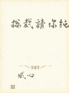 总裁请你纯洁点