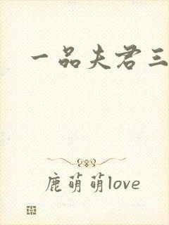 一品夫君三流妻