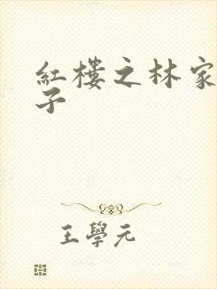 红楼之林家庶长子