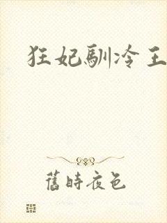 狂妃驯冷王