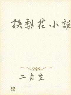 铁梨花小说