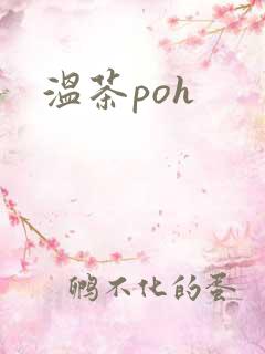 温茶poh