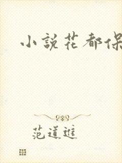 小说花都保镖