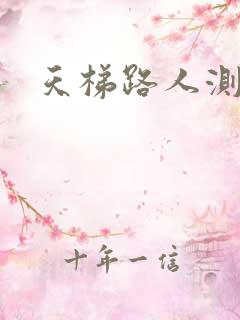 天梯路人测试器