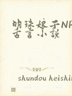 明珠娘子NPC古言小说