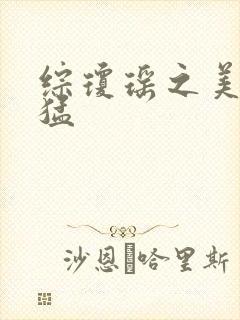 综琼瑶之美人凶猛