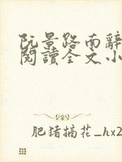 阮景路南辞免费阅读全文小说