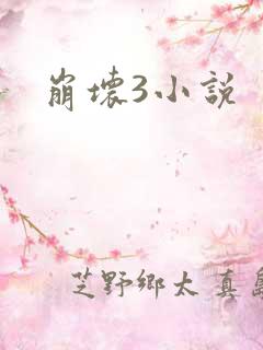 崩坏3小说