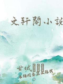 文轩阁小说网