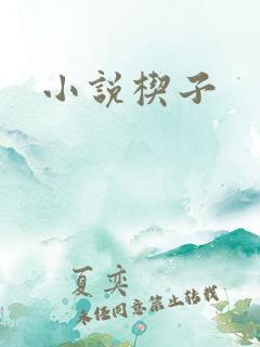 小说楔子