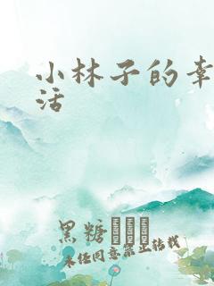 小林子的幸福生活