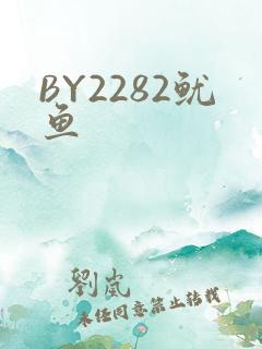 BY2282鱿鱼