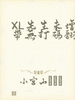 XL先生未增删带无打码翻译