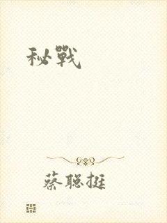 秘战