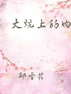 大炕上的肉伦二