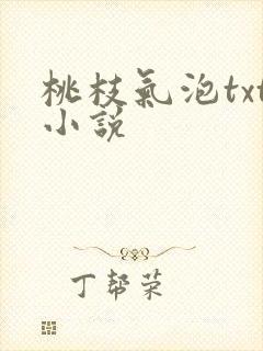 桃枝气泡txt小说