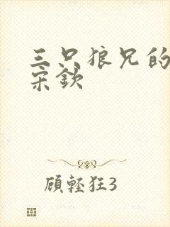 三只狼兄的宠妻宋钦