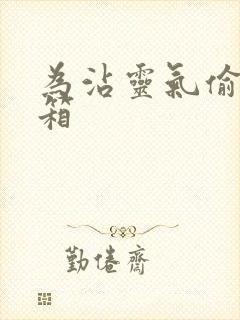 为沾灵气偷功德箱