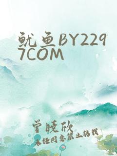 鱿鱼BY2297COM