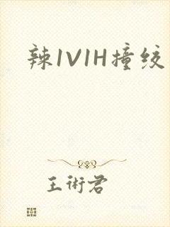 辣1V1H撞绞
