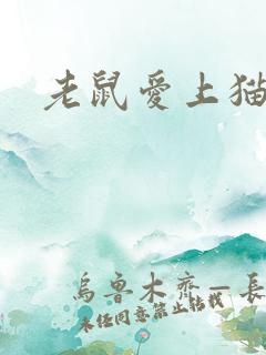 老鼠爱上猫下载