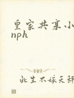 皇家共享小公主nph